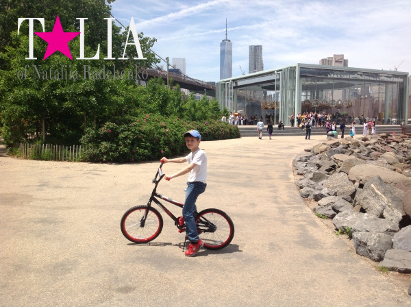 Карусель Джейн находится внутри стеклянного павильона. Бруклин Бридж Парк, Нью-Йорк